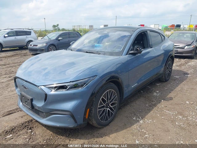Продаж на аукціоні авто 2024 Ford Mustang Mach-e Premium, vin: 3FMTK3SU4RMA01005, номер лоту: 12673973