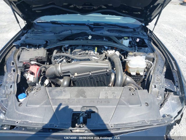 Ford Mustang 2025 1FAGP8UH6S5115075 Image 10