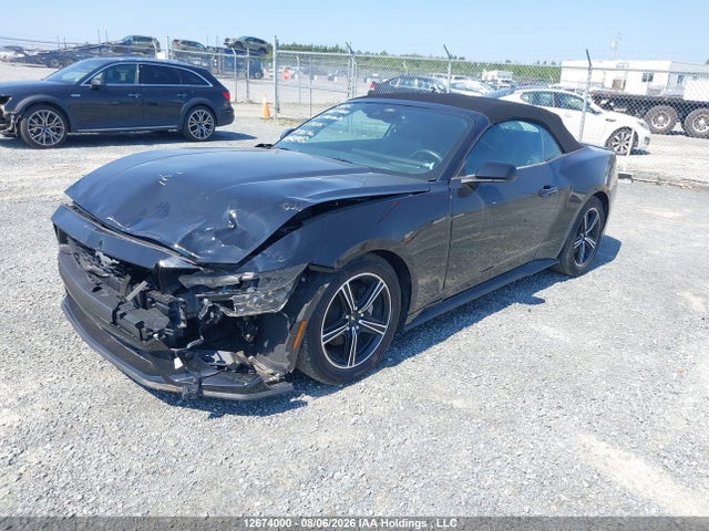 12674000 :رقم المزاد ، 1FAGP8UH6S5115075 vin ، 2025 Ford Mustang مزاد بيع