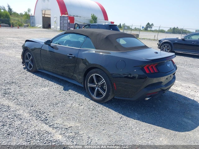 Ford Mustang 2025 1FAGP8UH6S5115075 Image 3