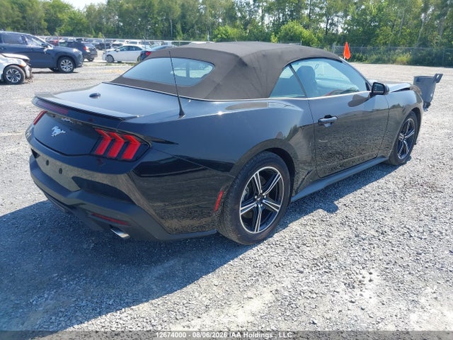 12674000 :رقم المزاد ، 1FAGP8UH6S5115075 vin ، 2025 Ford Mustang مزاد بيع