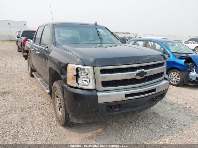 2009 Chevrolet Silverado 1500 Ls/lt/wt მანქანა იყიდება აუქციონზე, vin: 3GCEK13C59G223686, აუქციონის ნომერი: 12664589