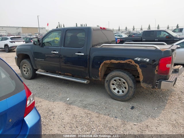 2009 Chevrolet Silverado 1500 Ls/lt/wt მანქანა იყიდება აუქციონზე, vin: 3GCEK13C59G223686, აუქციონის ნომერი: 12664589