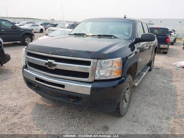 2009 Chevrolet Silverado 1500 Ls/lt/wt მანქანა იყიდება აუქციონზე, vin: 3GCEK13C59G223686, აუქციონის ნომერი: 12664589
