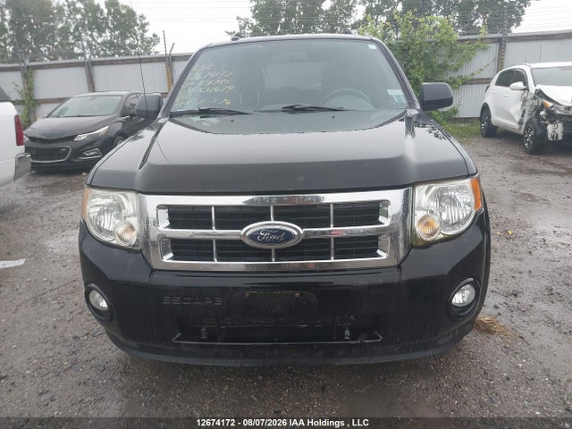 Продаж на аукціоні авто 2009 Ford Escape, vin: 1FMCU03G49KC12679, номер лоту: 12674172