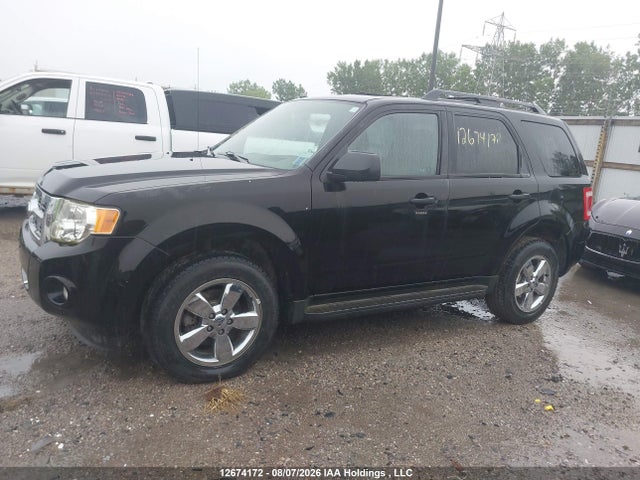 Продаж на аукціоні авто 2009 Ford Escape, vin: 1FMCU03G49KC12679, номер лоту: 12674172