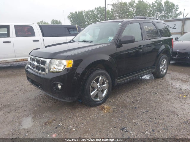 Продаж на аукціоні авто 2009 Ford Escape, vin: 1FMCU03G49KC12679, номер лоту: 12674172