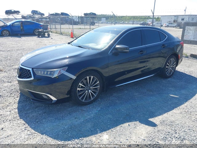 19UUB3F73JA801584 Acura Tlx Elite