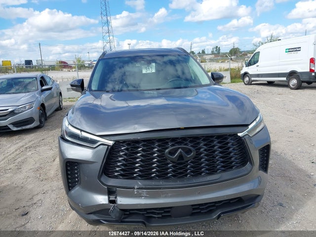 Infiniti QX60 2023 5N1DL1FS5PC369996 Image 12