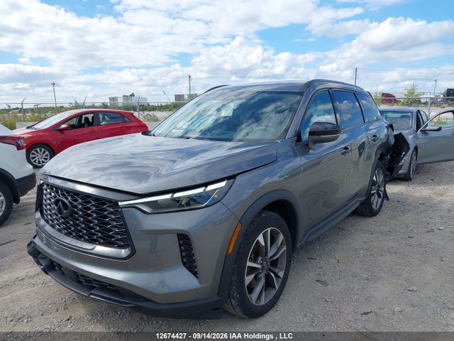 Infiniti QX60 2023 5N1DL1FS5PC369996 Image 2