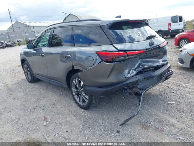 Infiniti QX60 2023 5N1DL1FS5PC369996 Image 3