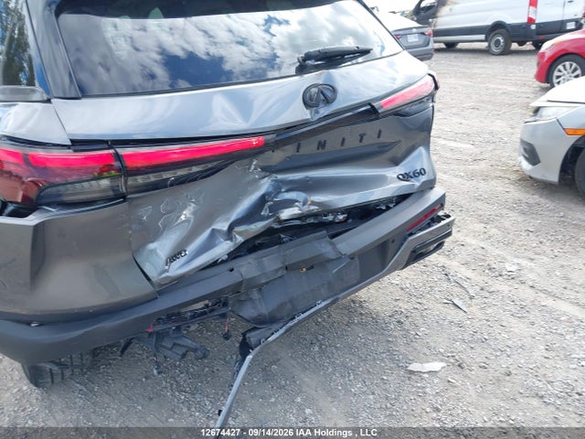 Infiniti QX60 2023 5N1DL1FS5PC369996 Image 6