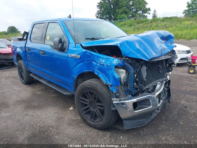 2019 1FTEW1EPXKFB97369 main image
