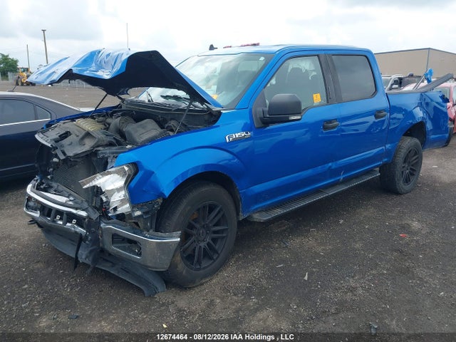Ford F-150 Xlt 2019 1FTEW1EPXKFB97369 Image 2