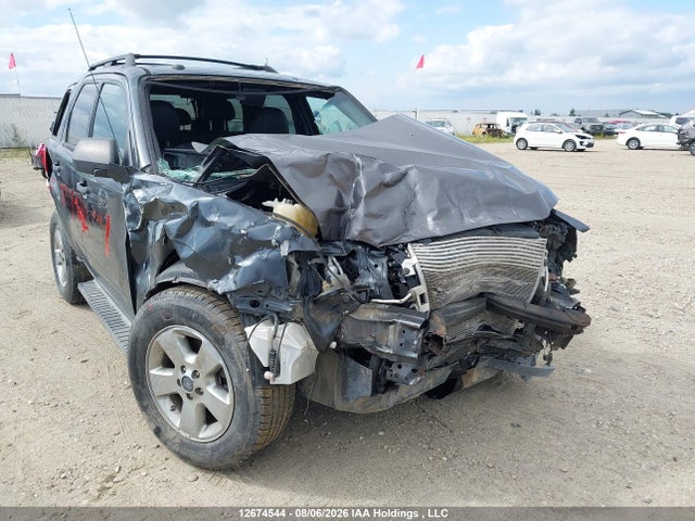 Продажа на аукционе авто 2009 Ford Escape, vin: 1FMCU93GX9KC83938, номер лота: 12674544