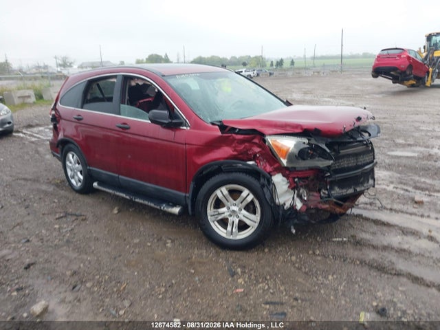 2009 Honda Cr-v Ex მანქანა იყიდება აუქციონზე, vin: 5J6RE48589L814466, აუქციონის ნომერი: 12674582