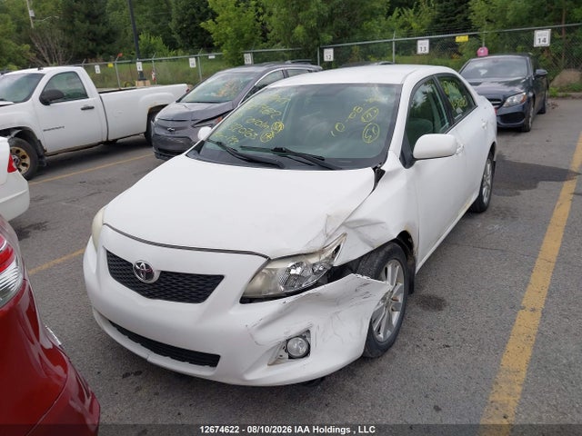 12674622 :رقم المزاد ، 2T1BU4EEXAC320703 vin ، 2010 Toyota Corolla Le مزاد بيع