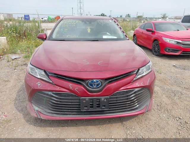 4T1B31HK5KU008131 Toyota Camry