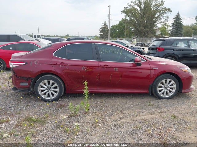 4T1B31HK5KU008131 Toyota Camry