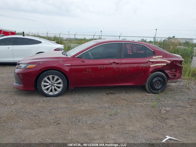 4T1B31HK5KU008131 Toyota Camry