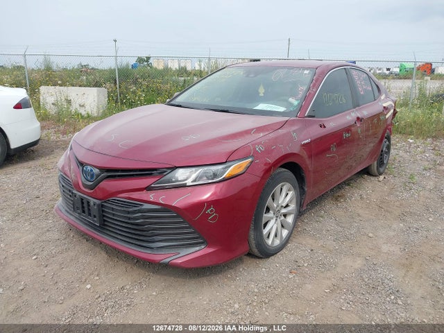 4T1B31HK5KU008131 Toyota Camry