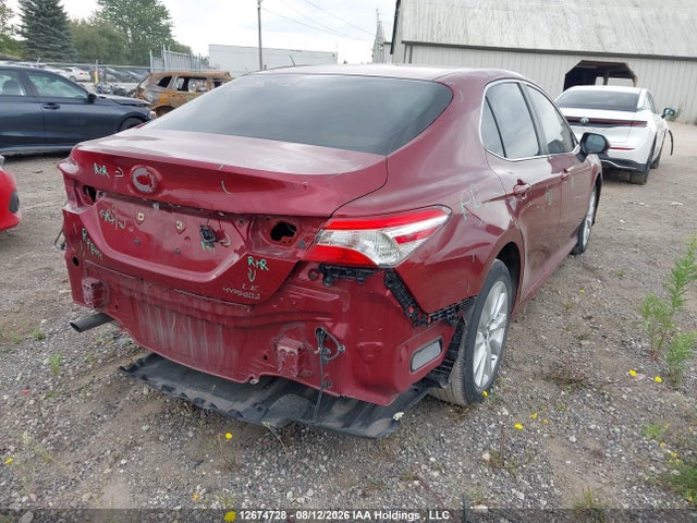 4T1B31HK5KU008131 Toyota Camry