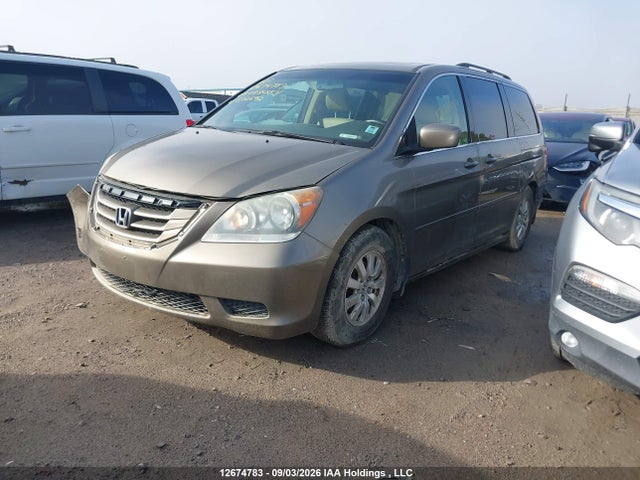 2009 Honda Odyssey Ex-l მანქანა იყიდება აუქციონზე, vin: 5FNRL387X9B502692, აუქციონის ნომერი: 12674783
