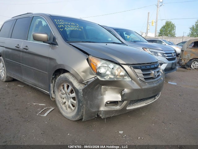 2009 Honda Odyssey Ex-l მანქანა იყიდება აუქციონზე, vin: 5FNRL387X9B502692, აუქციონის ნომერი: 12674783