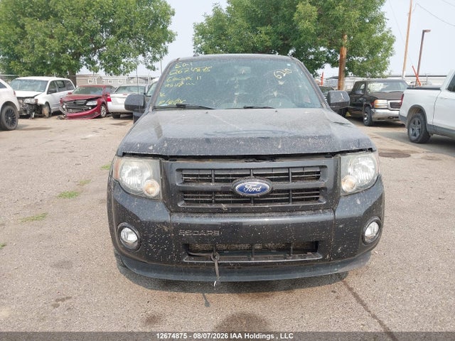 Продаж на аукціоні авто 2011 Ford Escape Xlt Automatic, vin: 1FMCU9DGXBKA95117, номер лоту: 12674875