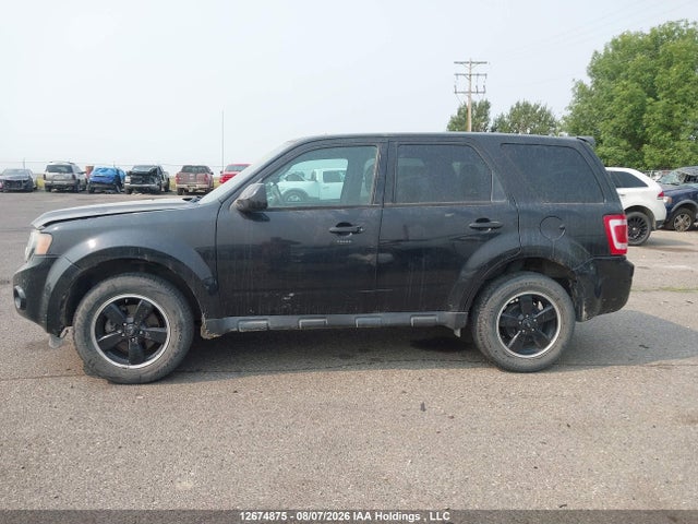 Продаж на аукціоні авто 2011 Ford Escape Xlt Automatic, vin: 1FMCU9DGXBKA95117, номер лоту: 12674875