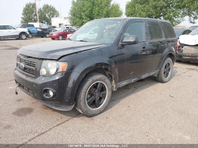 Продаж на аукціоні авто 2011 Ford Escape Xlt Automatic, vin: 1FMCU9DGXBKA95117, номер лоту: 12674875