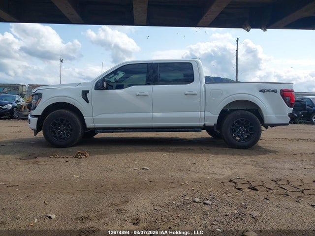 Ford F150 Xlt 2025 1FTEW3LP5SFB53262 Image 14