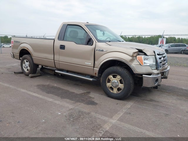 Продаж на аукціоні авто 2012 Ford F-150 Xlt, vin: 1FTNF1ET1CKD71951, номер лоту: 12674927