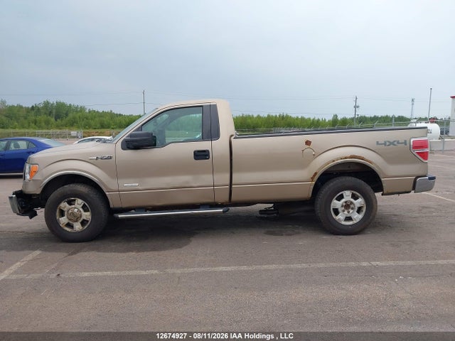 Продаж на аукціоні авто 2012 Ford F-150 Xlt, vin: 1FTNF1ET1CKD71951, номер лоту: 12674927