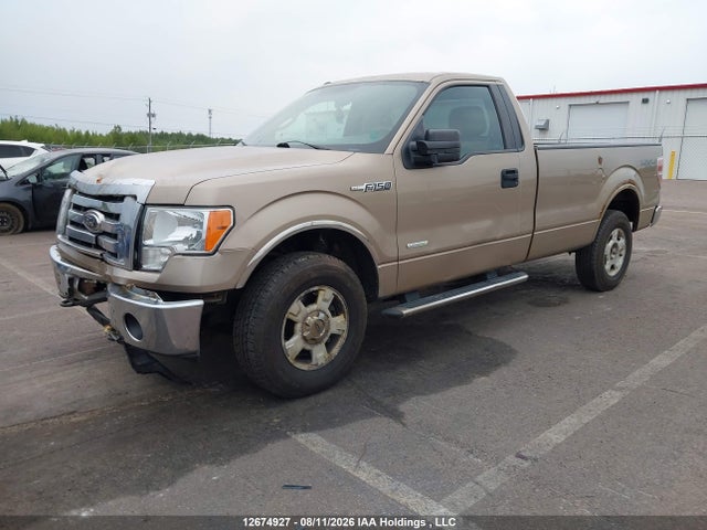 Продаж на аукціоні авто 2012 Ford F-150 Xlt, vin: 1FTNF1ET1CKD71951, номер лоту: 12674927