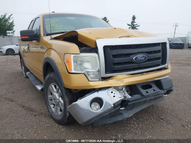 Продажа на аукционе авто 2009 Ford F150 Super Cab, vin: 1FTPX14V09FA22015, номер лота: 12674969