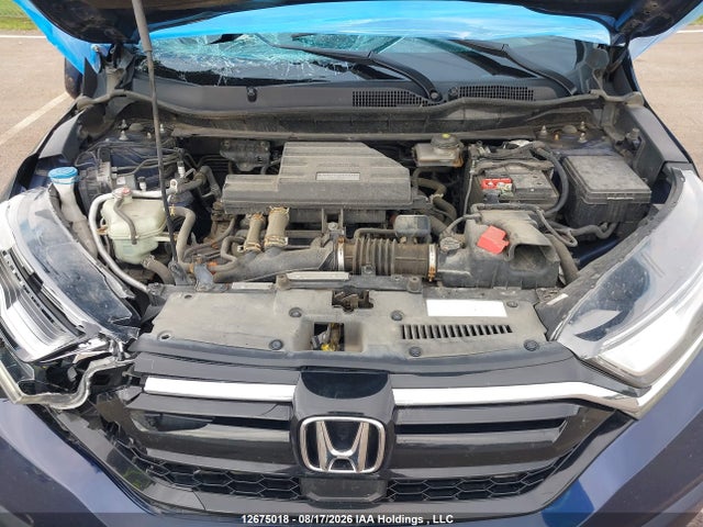 2HKRW2H99LH218272 Honda Cr-v Black Edition/touring
