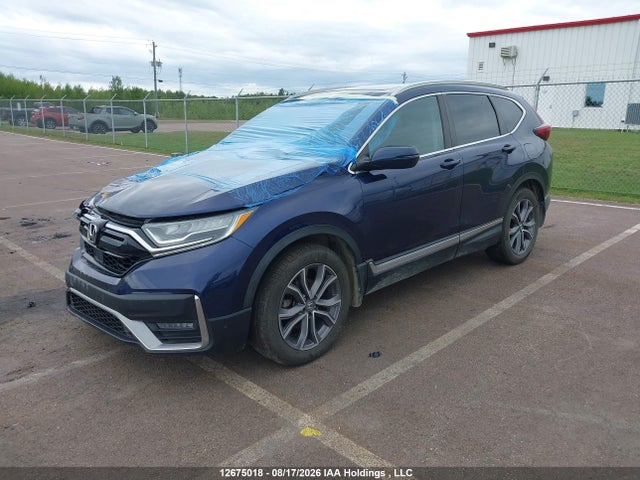 2HKRW2H99LH218272 Honda Cr-v Black Edition/touring