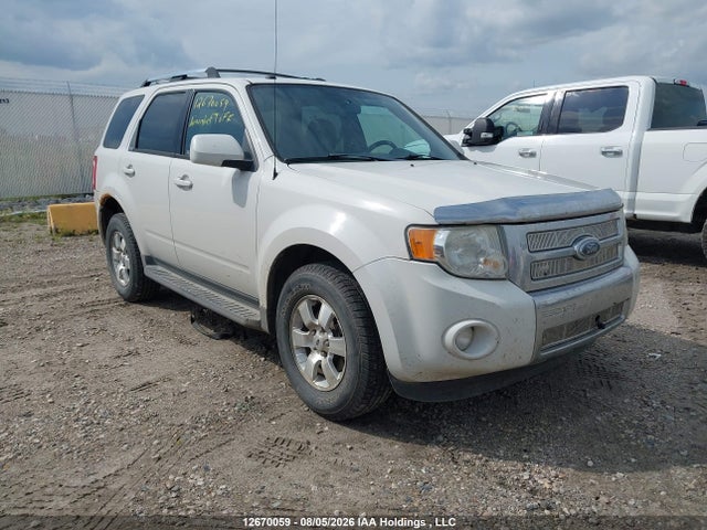 12670059 :رقم المزاد ، 1FMCU94G09KA90910 vin ، 2009 Ford Escape Limited مزاد بيع