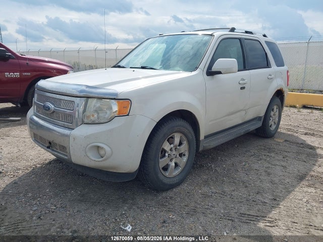 12670059 :رقم المزاد ، 1FMCU94G09KA90910 vin ، 2009 Ford Escape Limited مزاد بيع