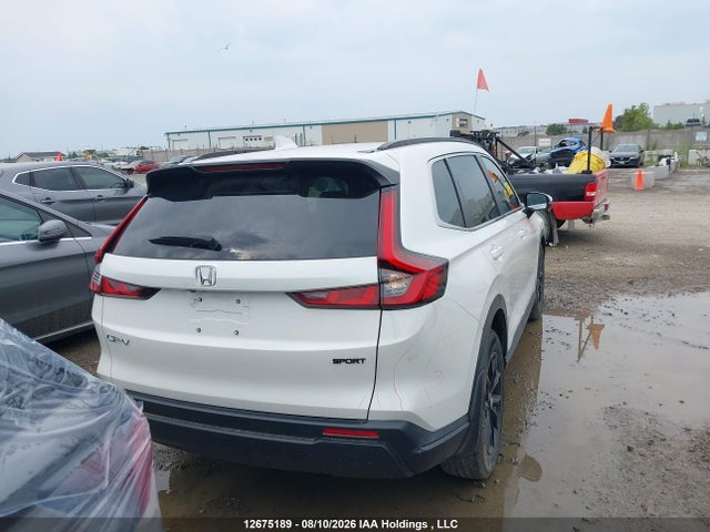 12675189 :رقم المزاد ، 2HKRS4H52SH123913 vin ، 2025 Honda Cr-v Sport مزاد بيع