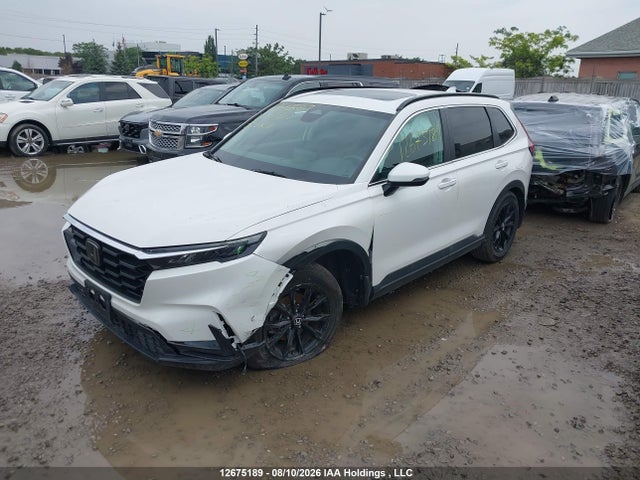 12675189 :رقم المزاد ، 2HKRS4H52SH123913 vin ، 2025 Honda Cr-v Sport مزاد بيع