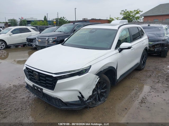 12675189 :رقم المزاد ، 2HKRS4H52SH123913 vin ، 2025 Honda Cr-v Sport مزاد بيع