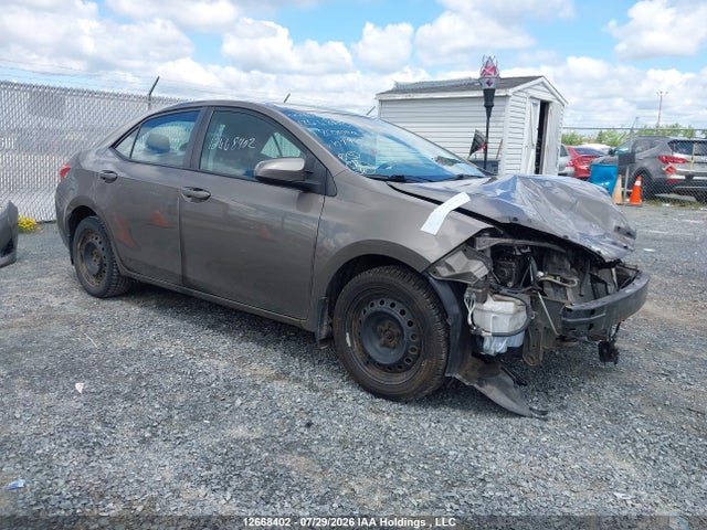 Toyota COROLLA LE 2018 2T1BURHEXJC107985 Image 1