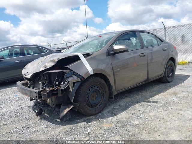 2T1BURHEXJC107985 Toyota COROLLA LE