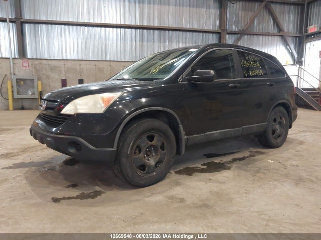 Продаж на аукціоні авто 2008 Honda Cr-v Lx, vin: 5J6RE38368L800959, номер лоту: 12669548