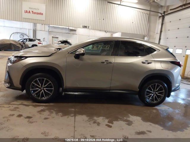 2T2GGCEZ1SC073577 Lexus Nx 350 Premium