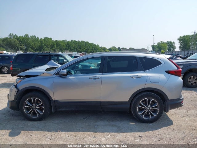 2HKRW2H81LH205006 Honda Cr-v Ex-l