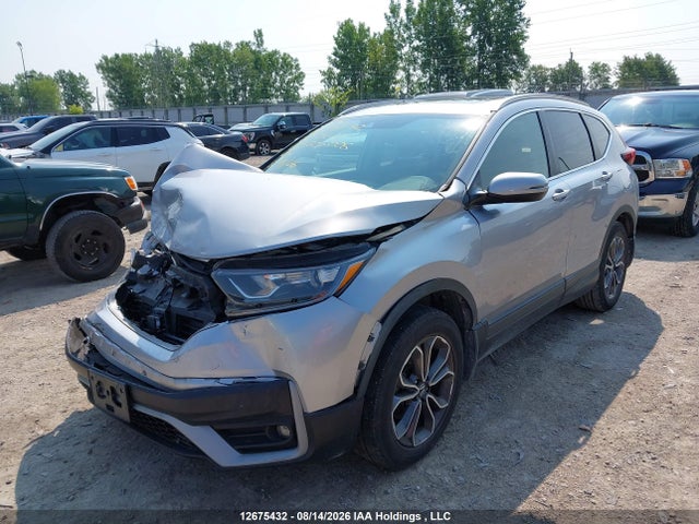 2HKRW2H81LH205006 Honda Cr-v Ex-l