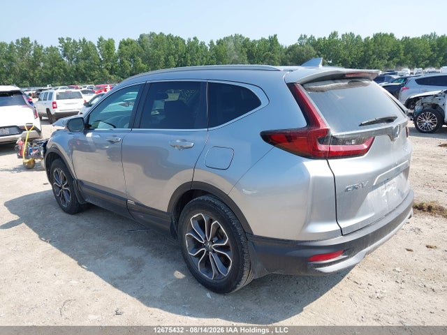 2HKRW2H81LH205006 Honda Cr-v Ex-l